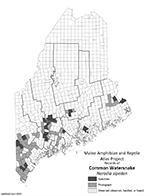 Common Watersnake distribution map (PDF)
